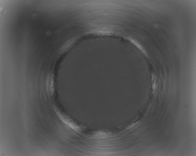 X0000082940494200702081627