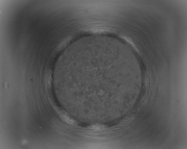 X0000082940495200702081627