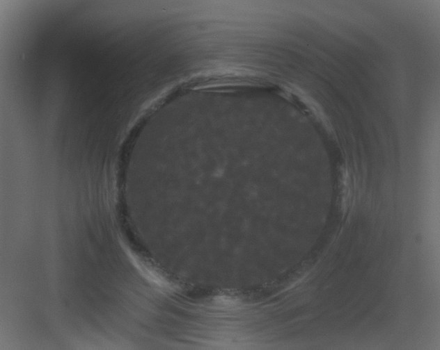 X0000082940496200702081627