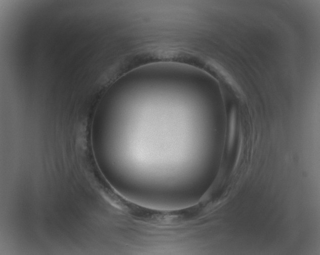 X0000082940497200702081627