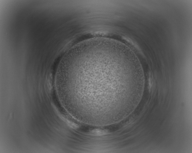 X0000082940498200702081627