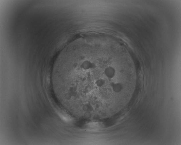 X0000082940499200702081627