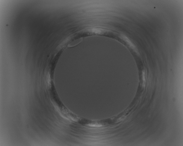 X0000082940500200702081627