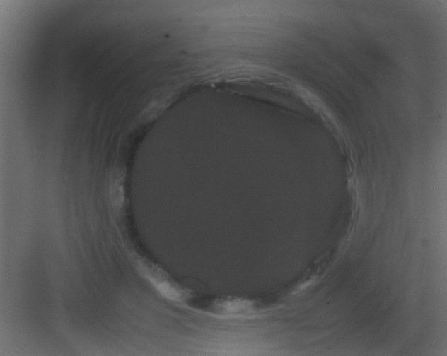 X0000082940501200702081627