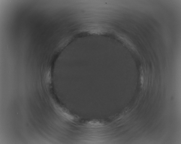 X0000082940502200702081627