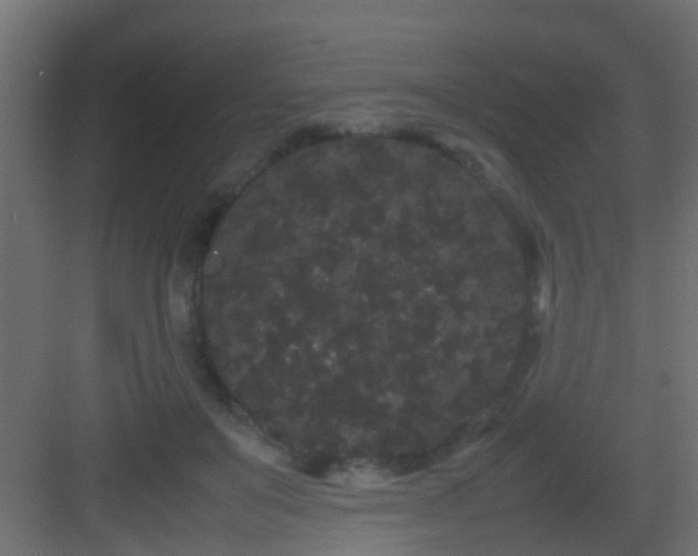 X0000082940503200702081627