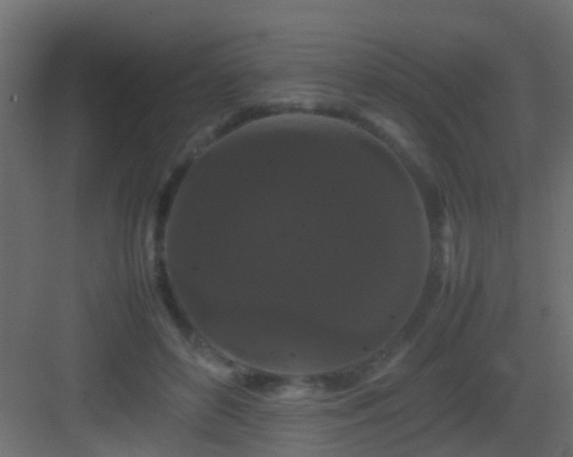 X0000082940504200702081627