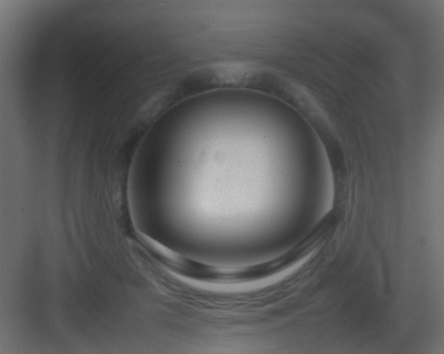 X0000082940505200702081627