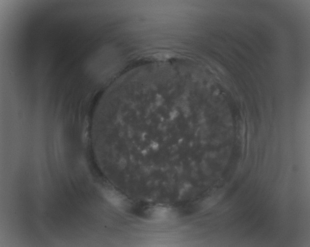 X0000082940507200702081627