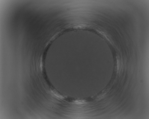 X0000082940508200702081627