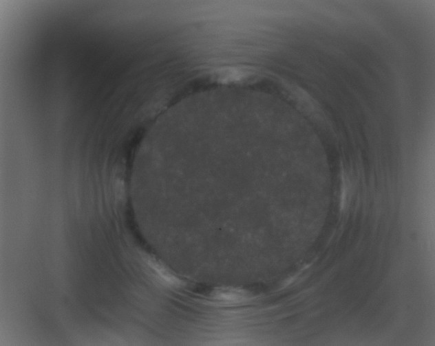 X0000082940510200702081627