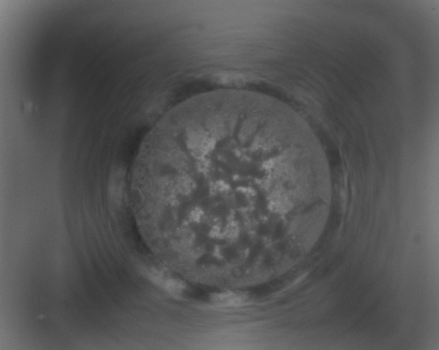 X0000082940511200702081627