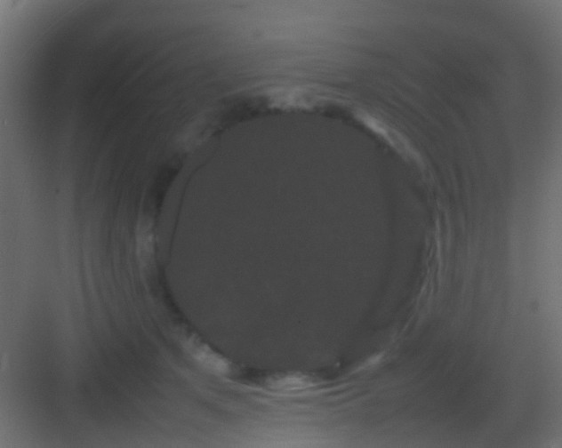 X0000082940513200702081627