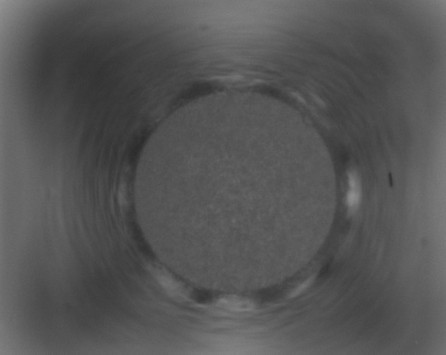 X0000082940515200702081627