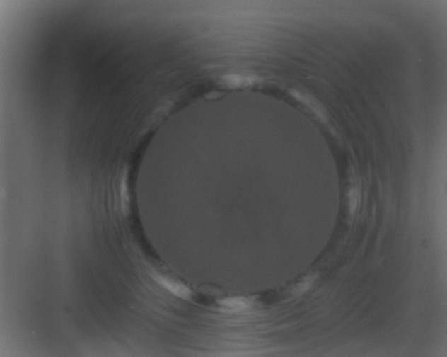 X0000082940516200702081627