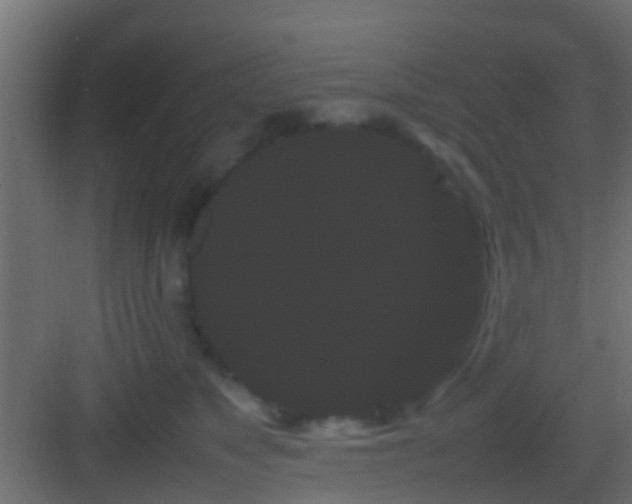 X0000082940517200702081627