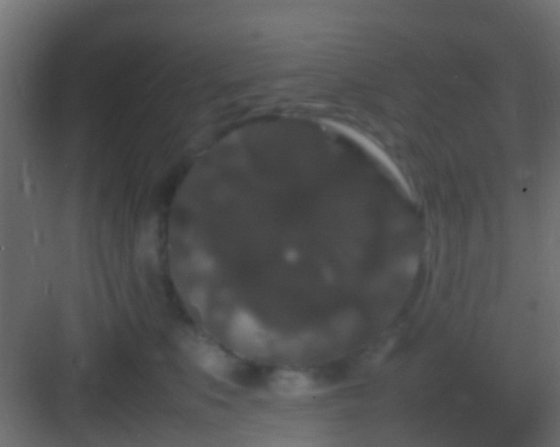 X0000082940519200702081627