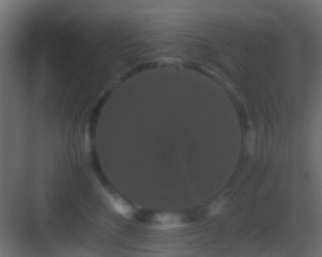 X0000082940520200702081627