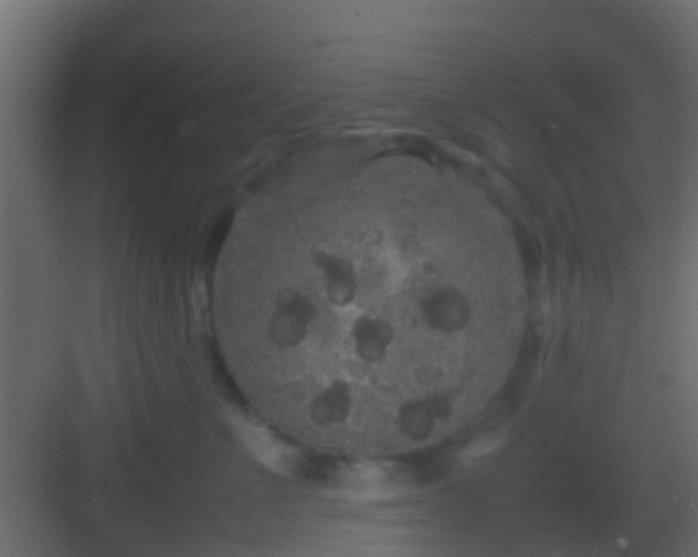 X0000082940523200702081627