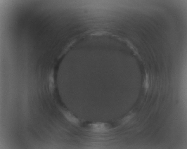 X0000082940524200702081627