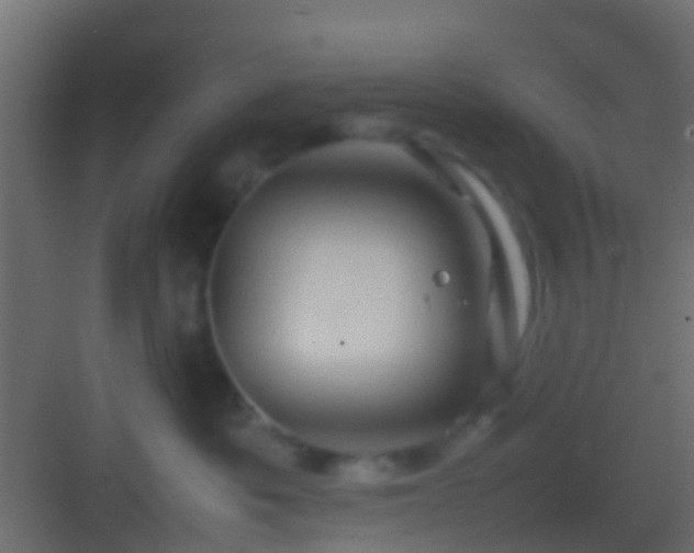 X0000082940525200702081627