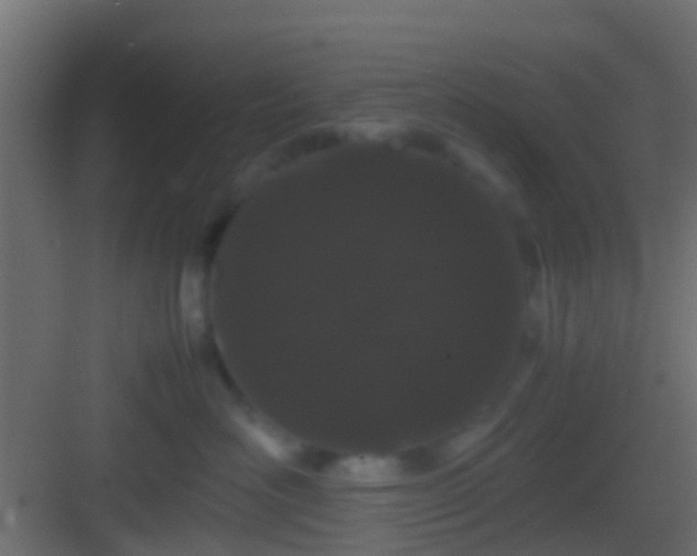 X0000082940526200702081627