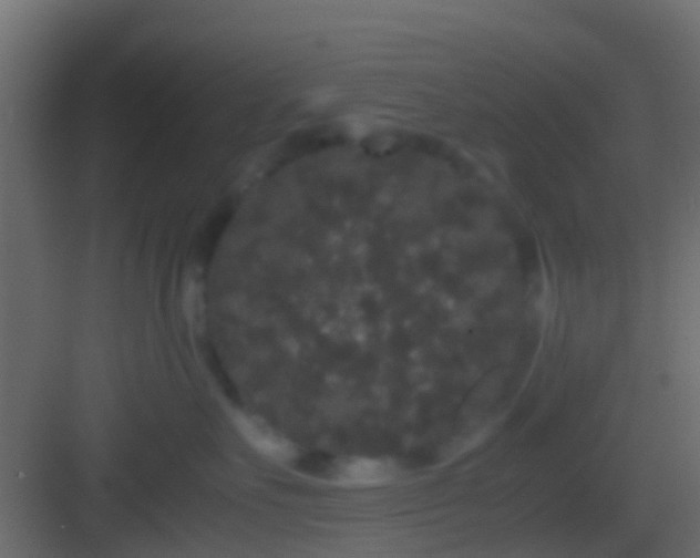 X0000082940527200702081627