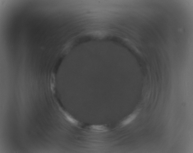 X0000082940528200702081627