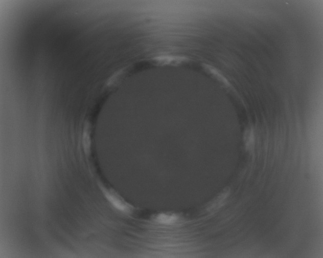 X0000082940570200702081627