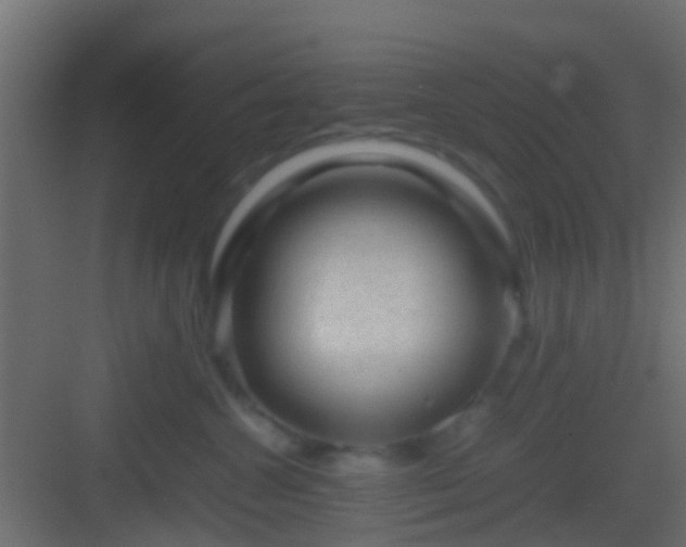 X0000082940572200702081627