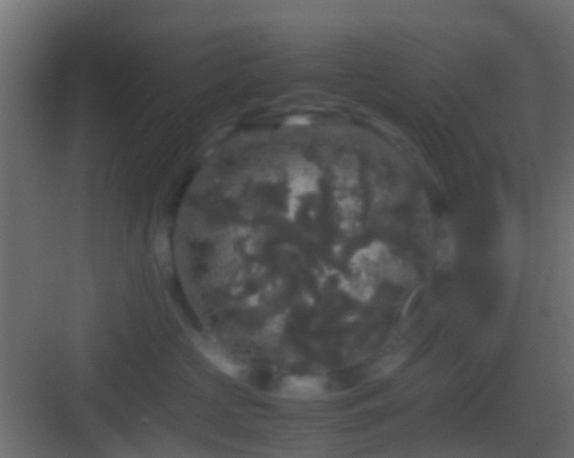 X0000082940573200702081627