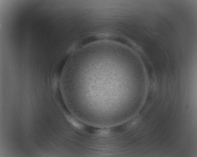 X0000082940574200702081627