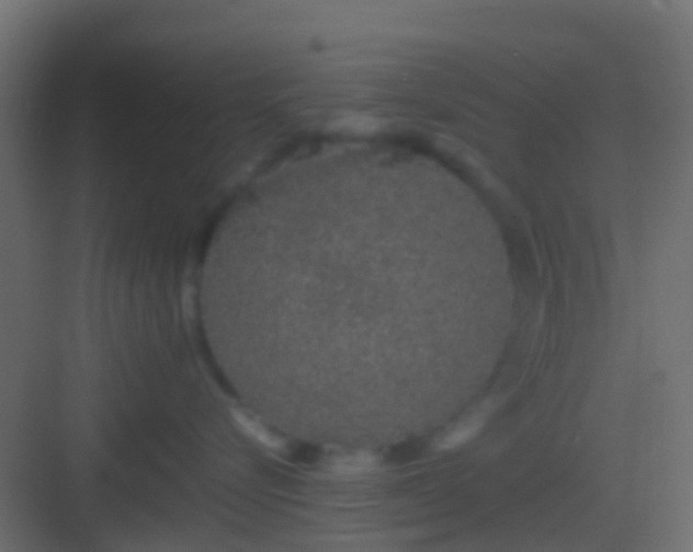 X0000082940576200702081627