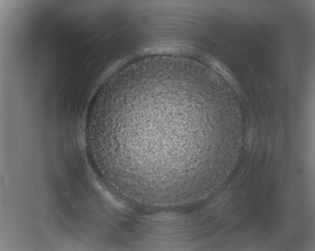 X0000082940578200702081626