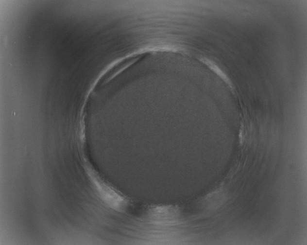 X0000082940584200702081626