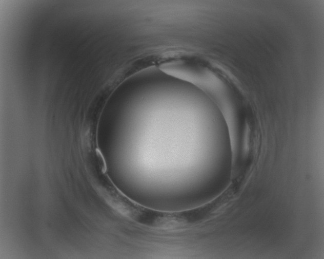 X0000082940597200702081625