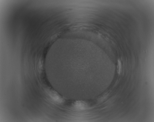 X0000082940608200702081625