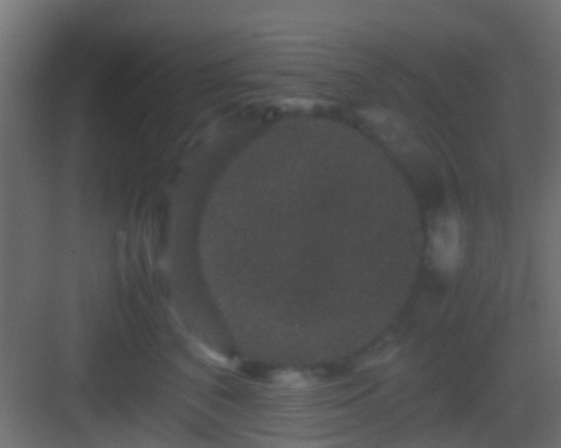 X0000082940616200702081625