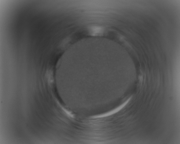 X0000082940620200702081625