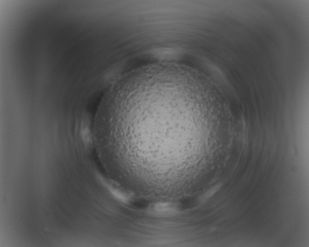 X0000082940622200702081625