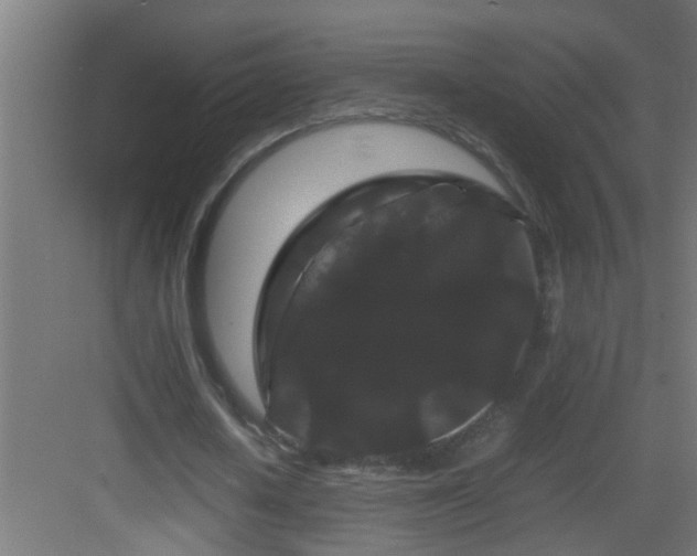 X0000082940626200702081624