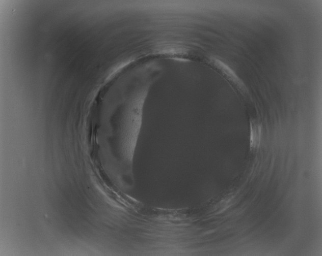 X0000082940627200702081624