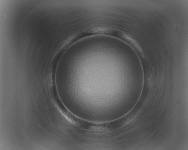 X0000082940633200702081624