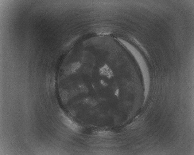 X0000082940637200702081624