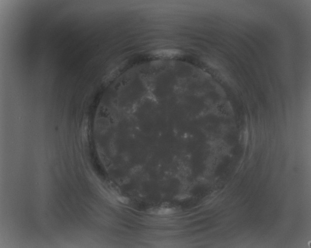 X0000082940647200702081625
