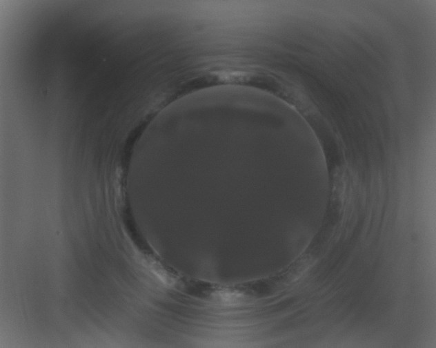 X0000082940650200702081625