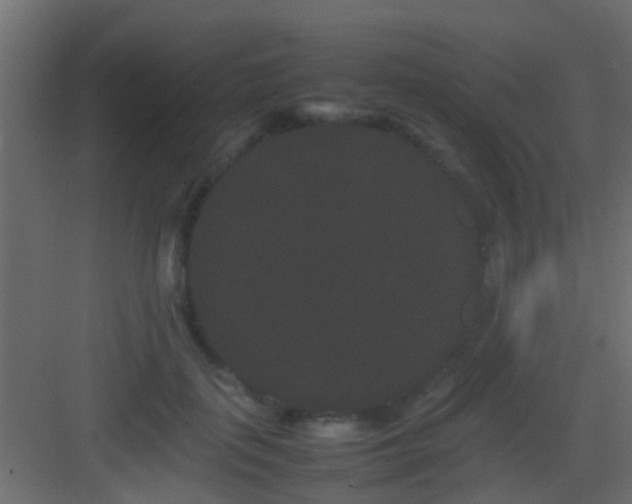 X0000082940651200702081625