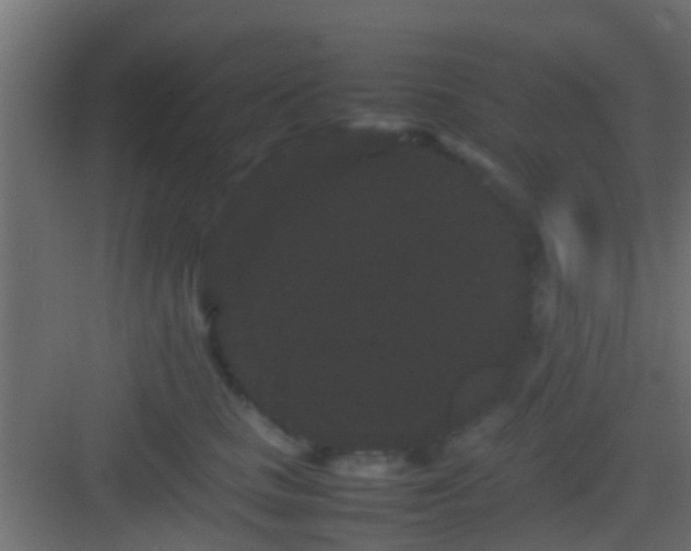 X0000082940661200702081625