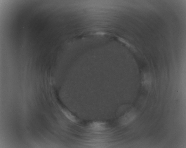 X0000082940664200702081625