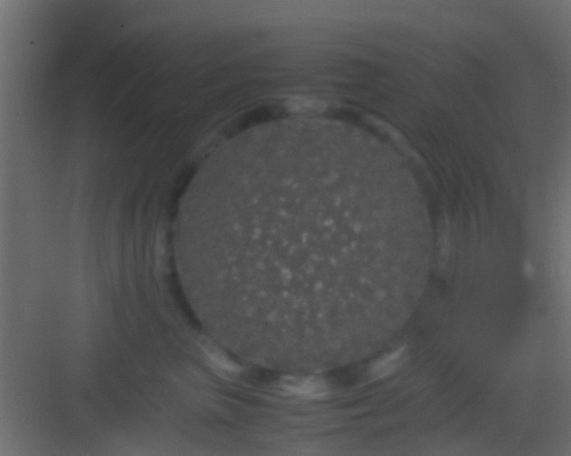 X0000082940667200702081625